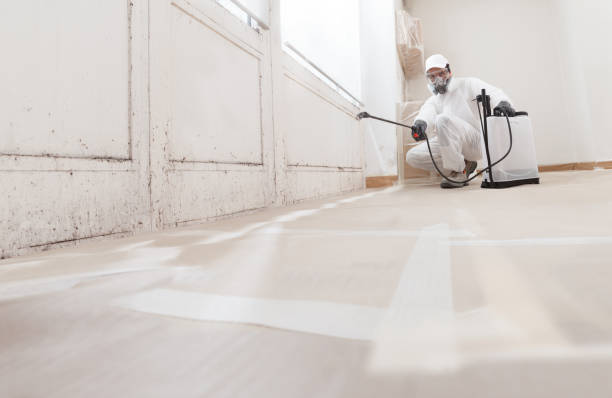 24/7 Emergency Commercial Mold Remediation experts in Conroe, TX