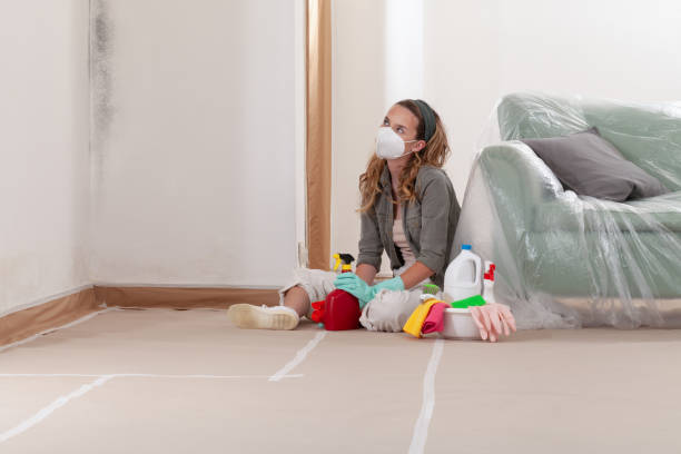 Reliable Commercial Mold Remediation contractor in Conroe, TX by Car Mold Remediation